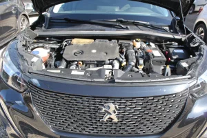 10253879960_omeustand_foto (1)