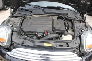 10253965941_omeustand_foto (1)