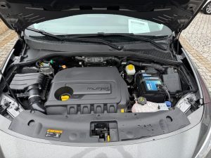 WhatsApp Image 2025-11-17 at 15.25.1713